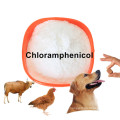 Supply Chloramphenicol Capsules Of Antibiotics For Skin